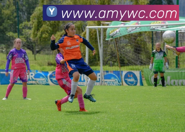 亚新注册品牌故事