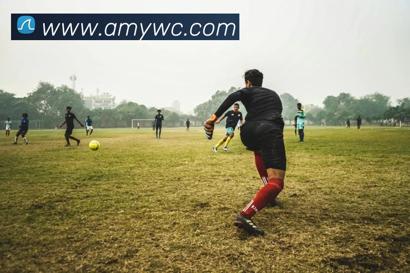 亚新注册服务体系